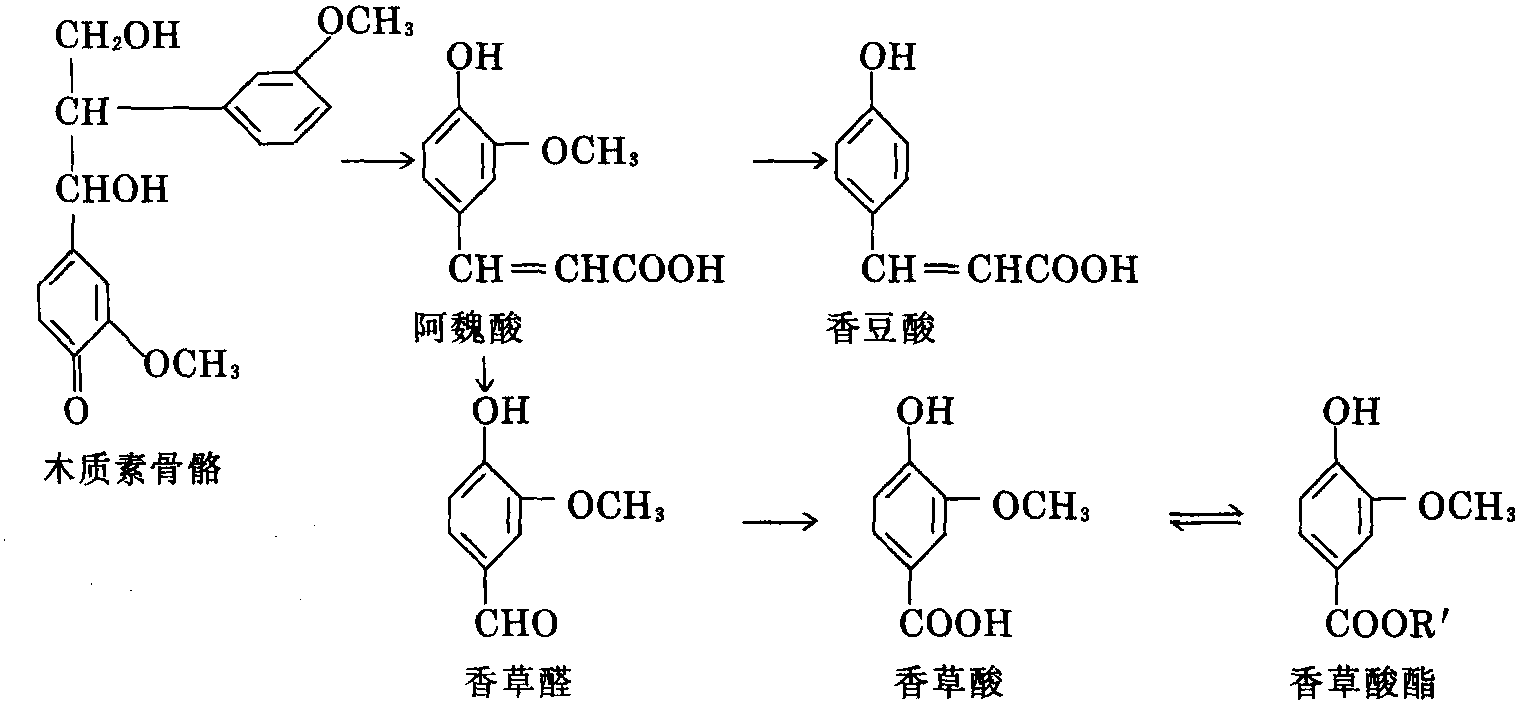 第四節(jié) 發(fā)酵過程中的物質(zhì)變化